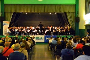  - CONSONANZA MUSICALE  APS